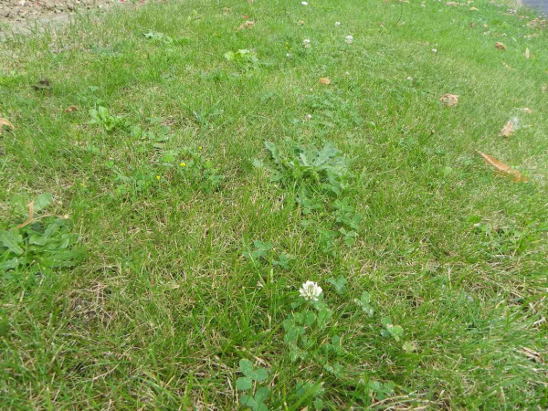 Offres de vente Terrain Villeparisis 77270